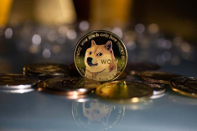 Dogecoin Price Prediction: , , , - 