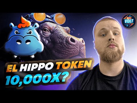 How to Buy Hippo Protocol(HIPPO) Crypto Step by Step