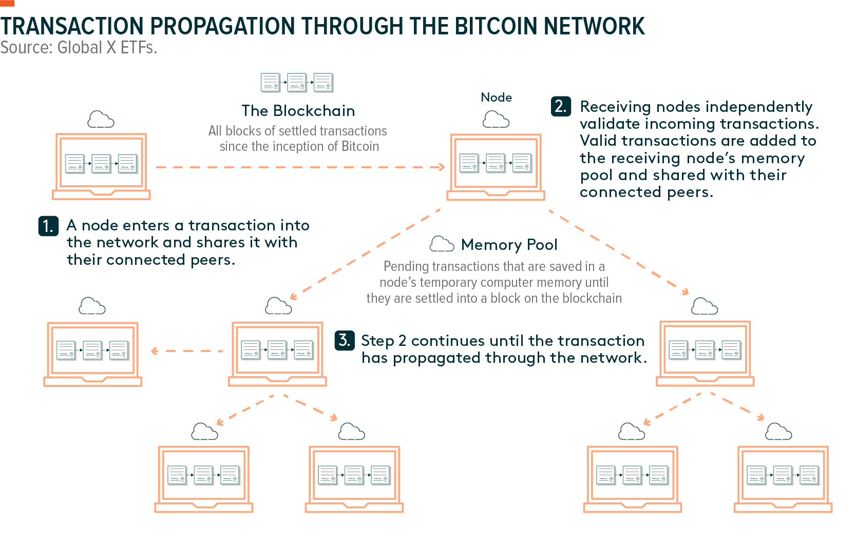 What Are Blockchain Nodes and How Do They Work? | Built In