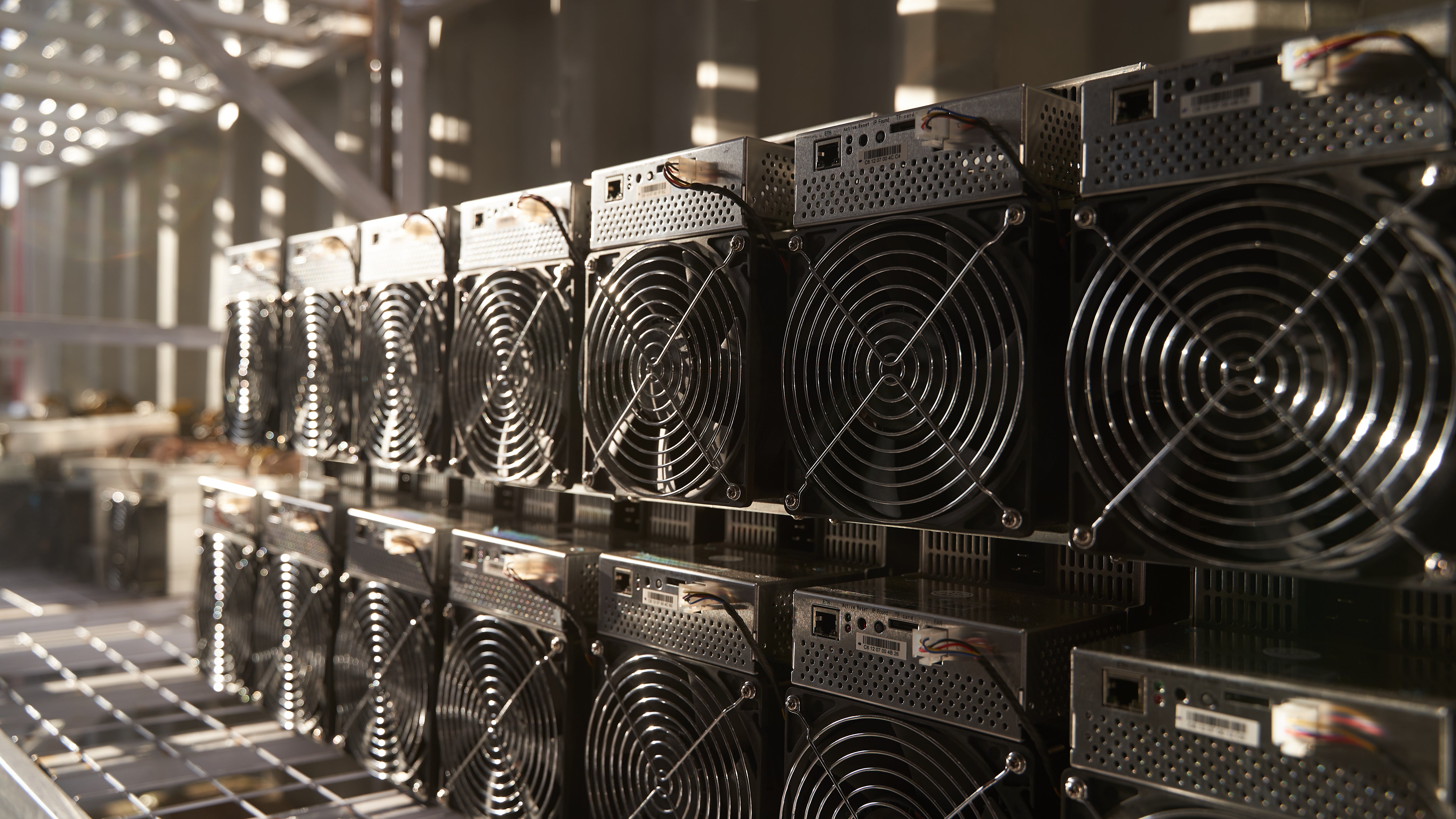 Canaan Leads Bitcoin Mining Stocks Rally with 21% Gains - TheMinerMag