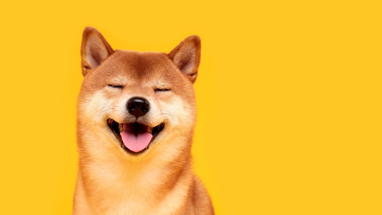 Dogecoin USD (DOGE-USD) Price, Value, News & History - Yahoo Finance