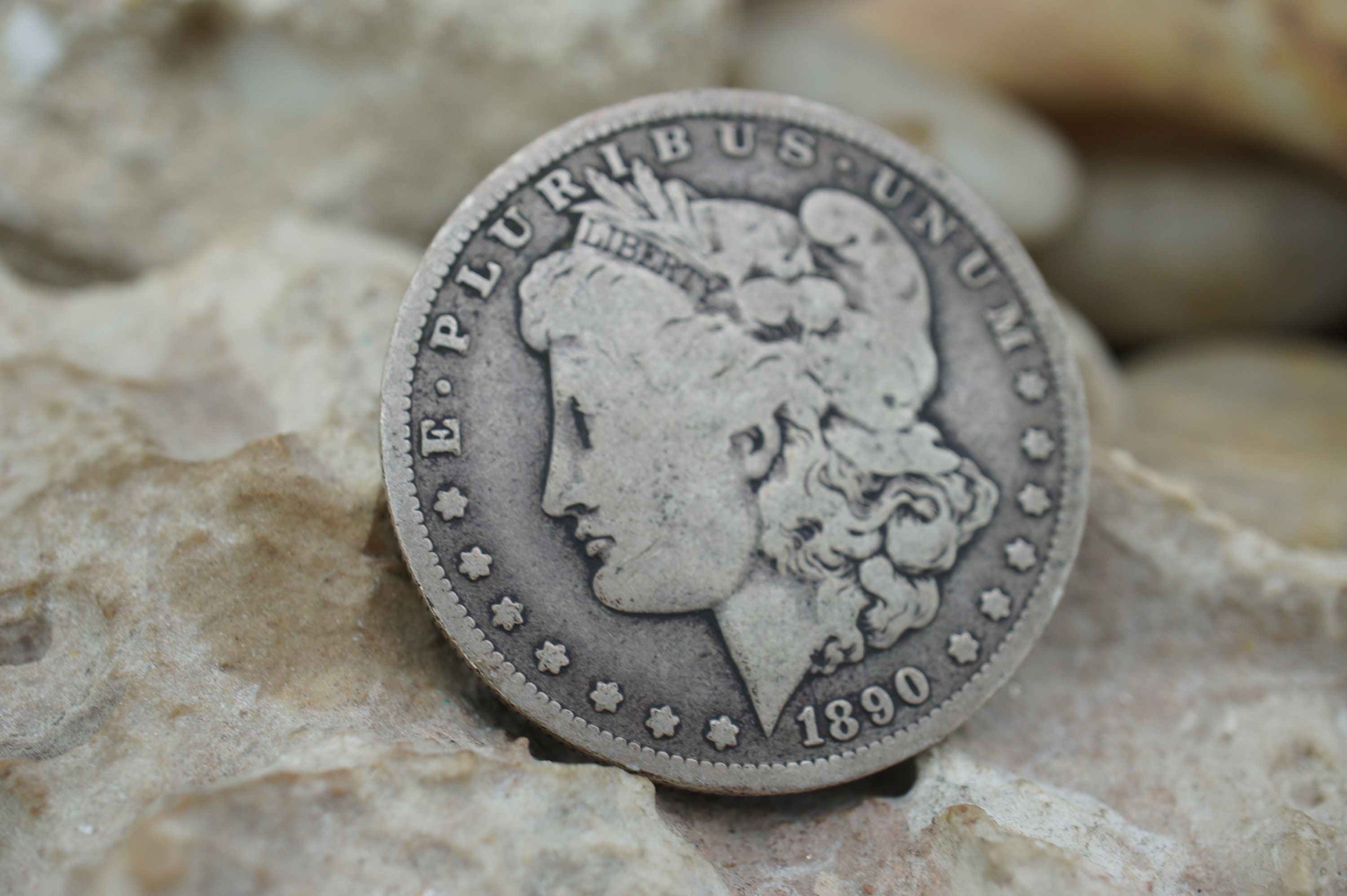 Morgan Dollar Coin Pricing Guide | The Greysheet