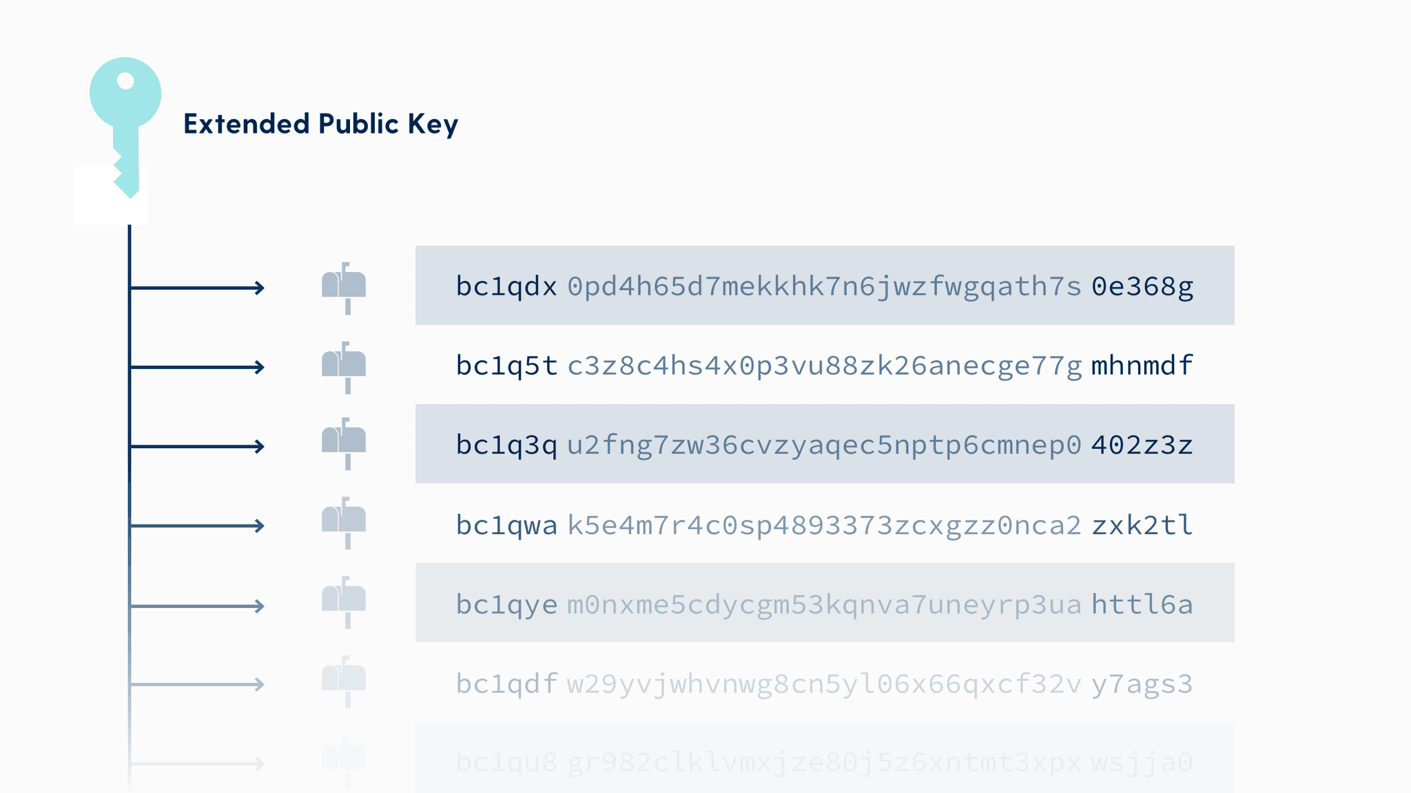 Where can I find the extended public key (XPub) from my Trezor? - Bitsurance - Bitcoin versichern