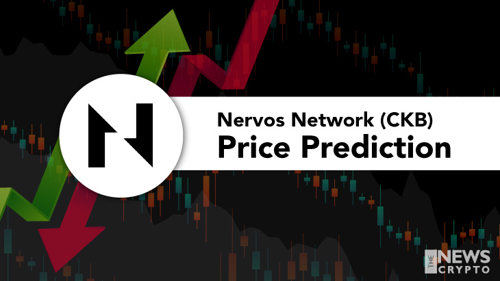 NVT Coin: what is NerveNetwork? Crypto token analysis and Overview | ostrov-dety.ru