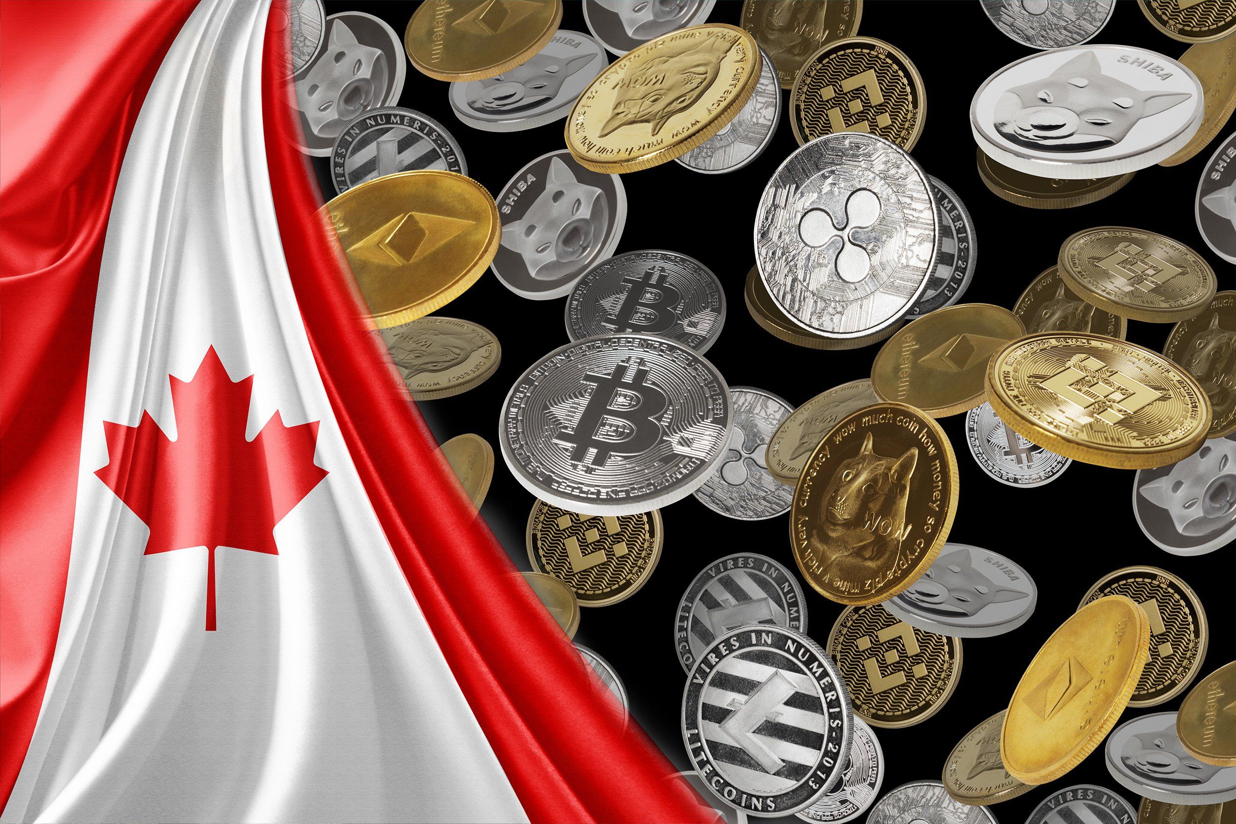 5 Best Crypto Stocks In Canada (Feb ): A Disruptive Technology