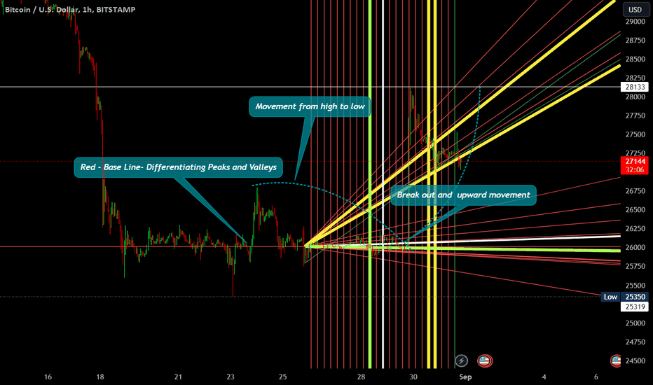 Bitcoin Price Analysis: BTC Rips To New ATH Before Taking Hit | Live Bitcoin News