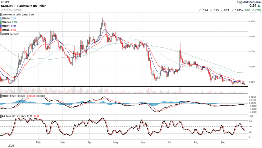 Is Cardano a Good Investment in ? | ecoinomy