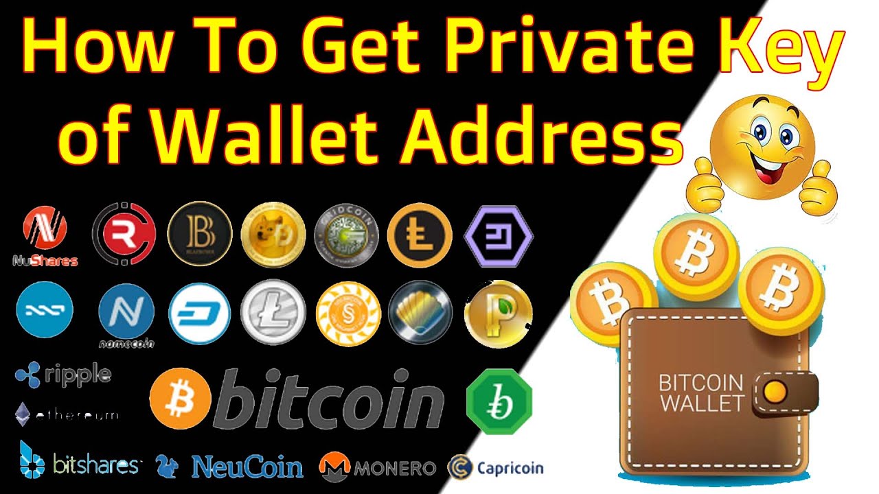 Where Can I Find My Bitcoin Private Key? | Crypto News Australia