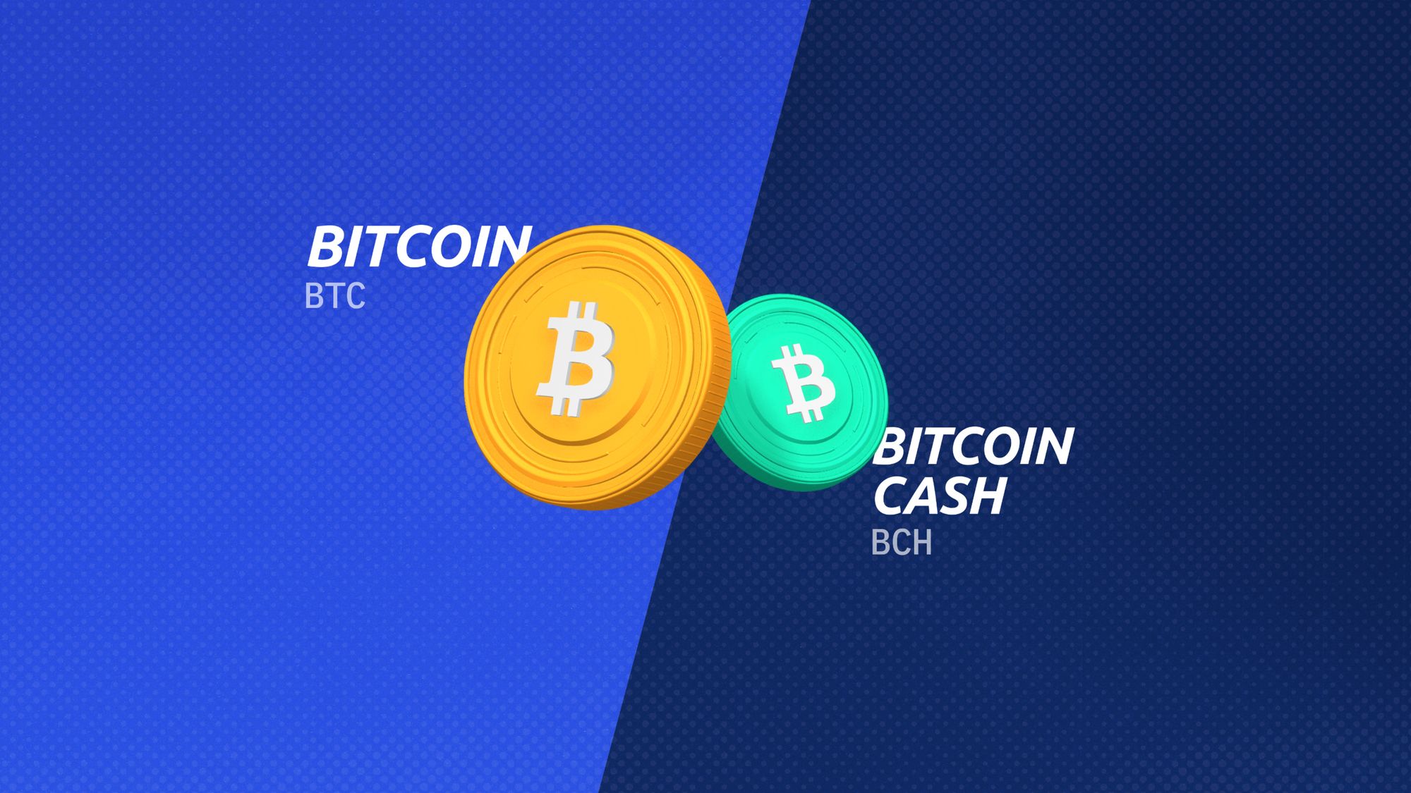 Bitcoin (BTC) vs. Bitcoin Cash (BCH): How They’re Different - NerdWallet