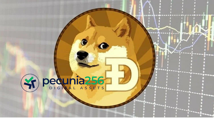 Dogecoin: Una Historia Increíble de Meme a Moneda Digital - islaBit