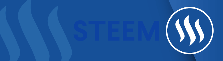 What Is Steem? | Steemit Cryptocurrency | PerfectionGeeks