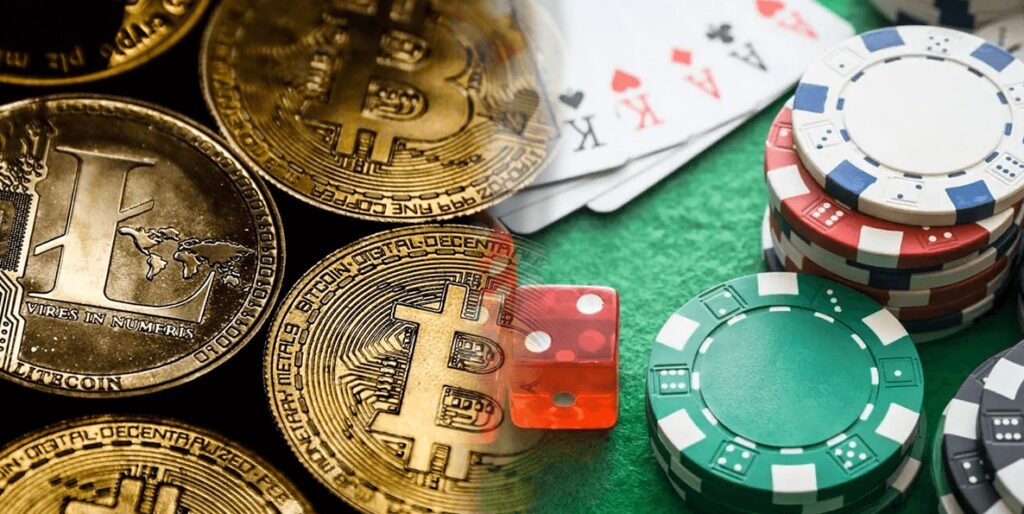 The Casino Betting Coin | Omni Agency