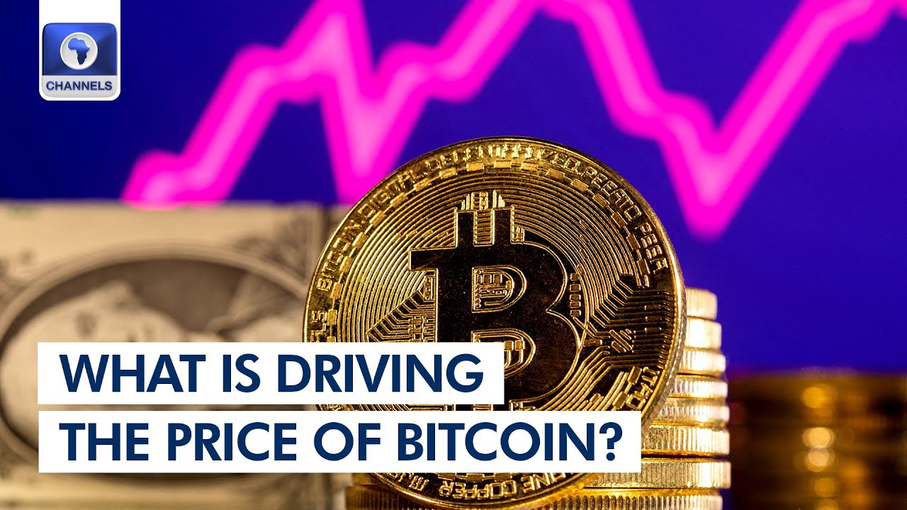 What Determines Bitcoin's Price?