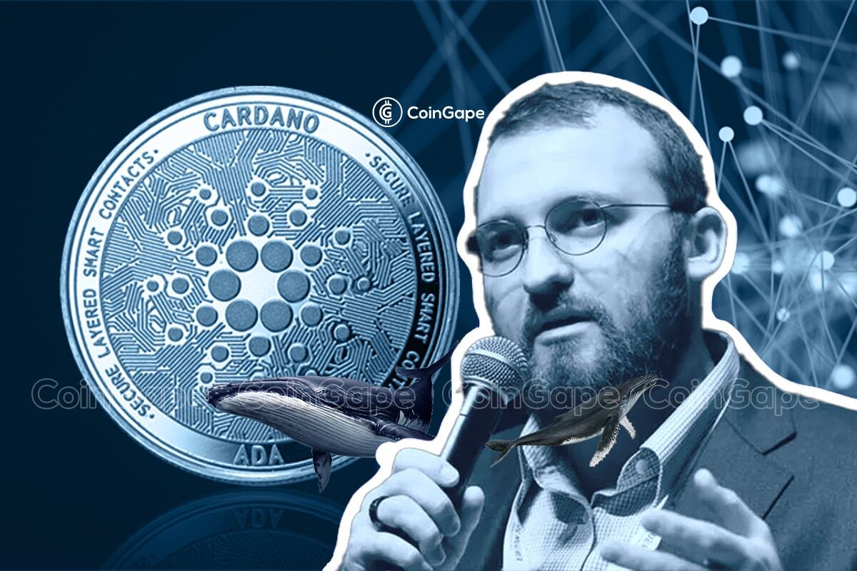 Could Cardano be the biggest failure in blockchain? - CoinChapter…