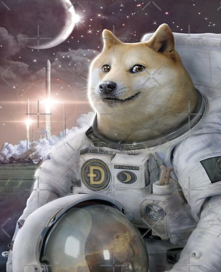 If you believe, they put a Dogecoin on the moon