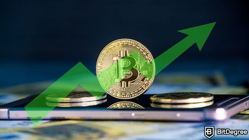 Why Is Bitcoin Volatile?