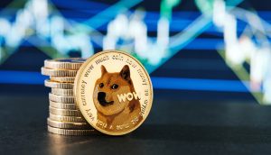 50 DOGE to CNY - Dogecoin to Chinese Yuan Converter - ostrov-dety.ru