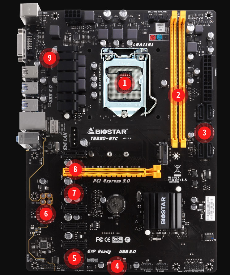 Biostar TB BTC PRO ATX Mining Motherboard | ostrov-dety.ru