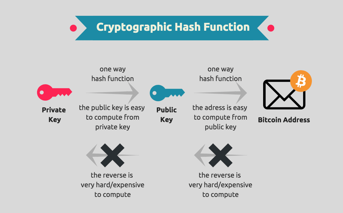 Keys and Bitcoin Addresses: Generating a Public Key | Saylor Academy