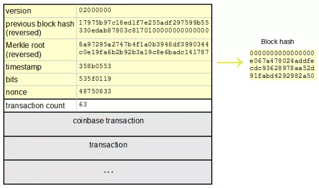 What Is SHA And How Is It Related to Bitcoin? - Mycryptopedia