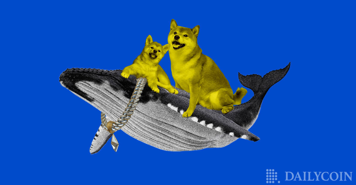 SHIB Price: Shiba Inu Whale Moves 3 Tln Coins As SHIB Price Rockets 70%