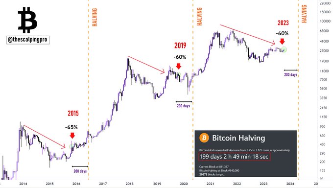 Bitcoin Halving's Impact on Investors; New Dogecoin Contender Targets 1,% Growth