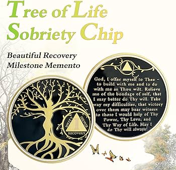 24 Hours of Sobriety Medallions - Live Life One Day at A Time — AA Medallion Store