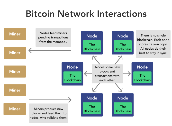 Bitcoin Node: Definition & How To Run One For Free () - Athena Alpha