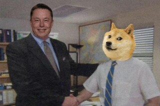 DogeCoin almost hit 70 cents: What's behind the latest surge - CNET