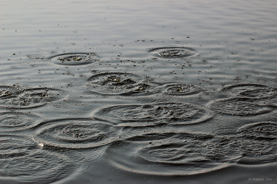 Water Ripple Photos and Premium High Res Pictures - Getty Images