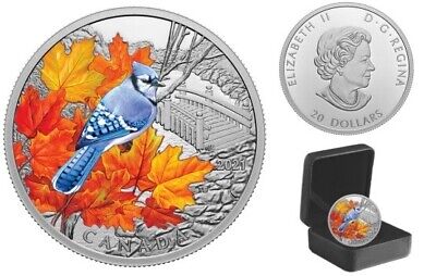 Canada 1 Ounce Colorful Birds Blue Jay Color Silver Proof Coin