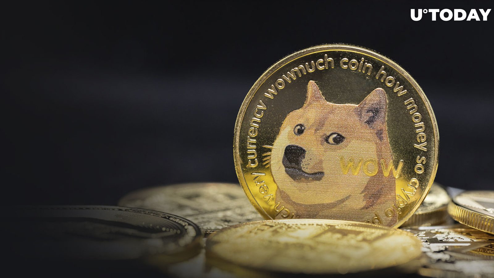 Doge Faucet - Dogecoin faucet, free doge!