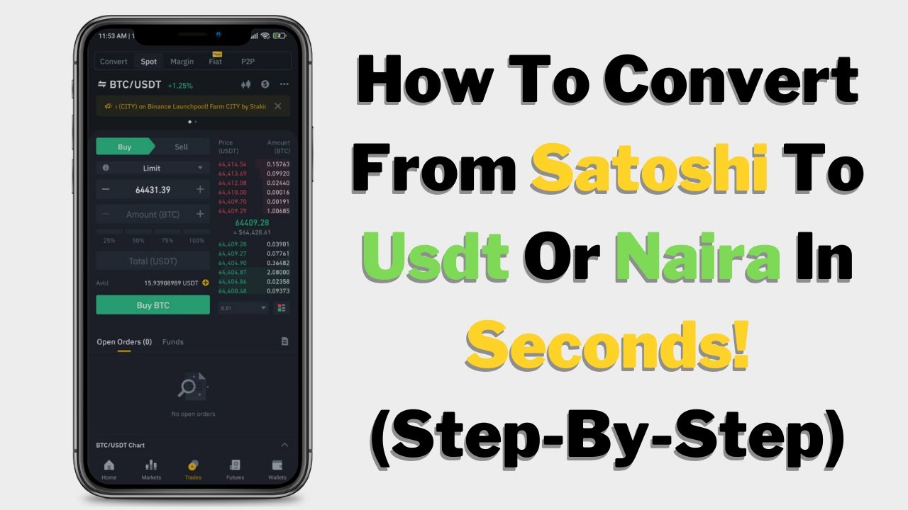 1 Satoshi to NGN (Satoshi to Nigerian Naira) | convert, exchange rate