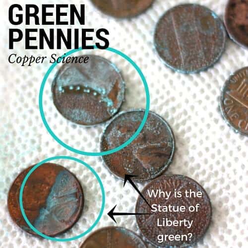 Green Pennies Experiment - Little Bins for Little Hands