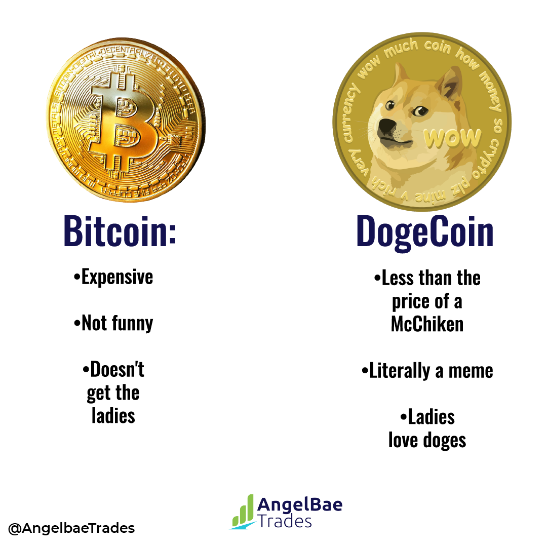 Dogecoin Vs. Bitcoin: Which to Choose? - ChicksX