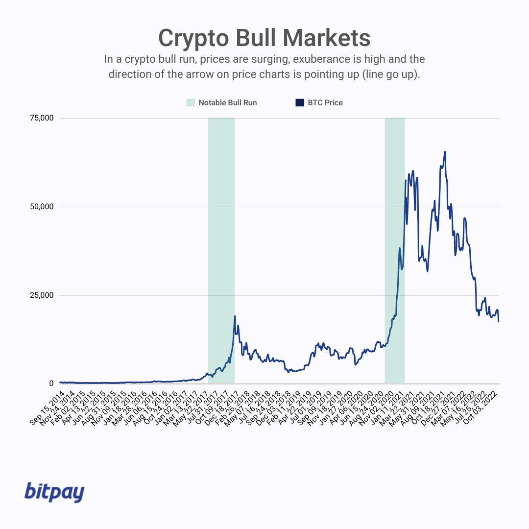 Bull Run's Back Baby: Strategies for Seasoned Traders