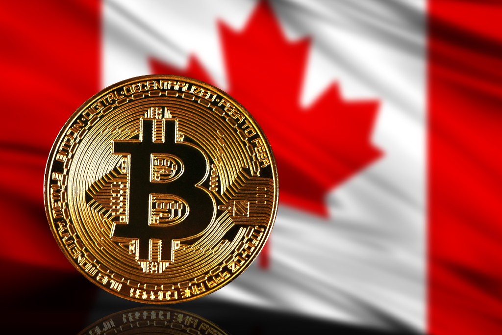 Best Crypto Stocks to Buy in Canada (February ) - PiggyBank