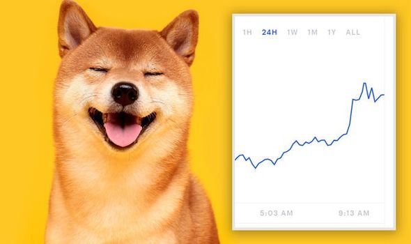 Dogecoin (DOGE) Historical Trends Show Major Rally Might Be Underway — TradingView News