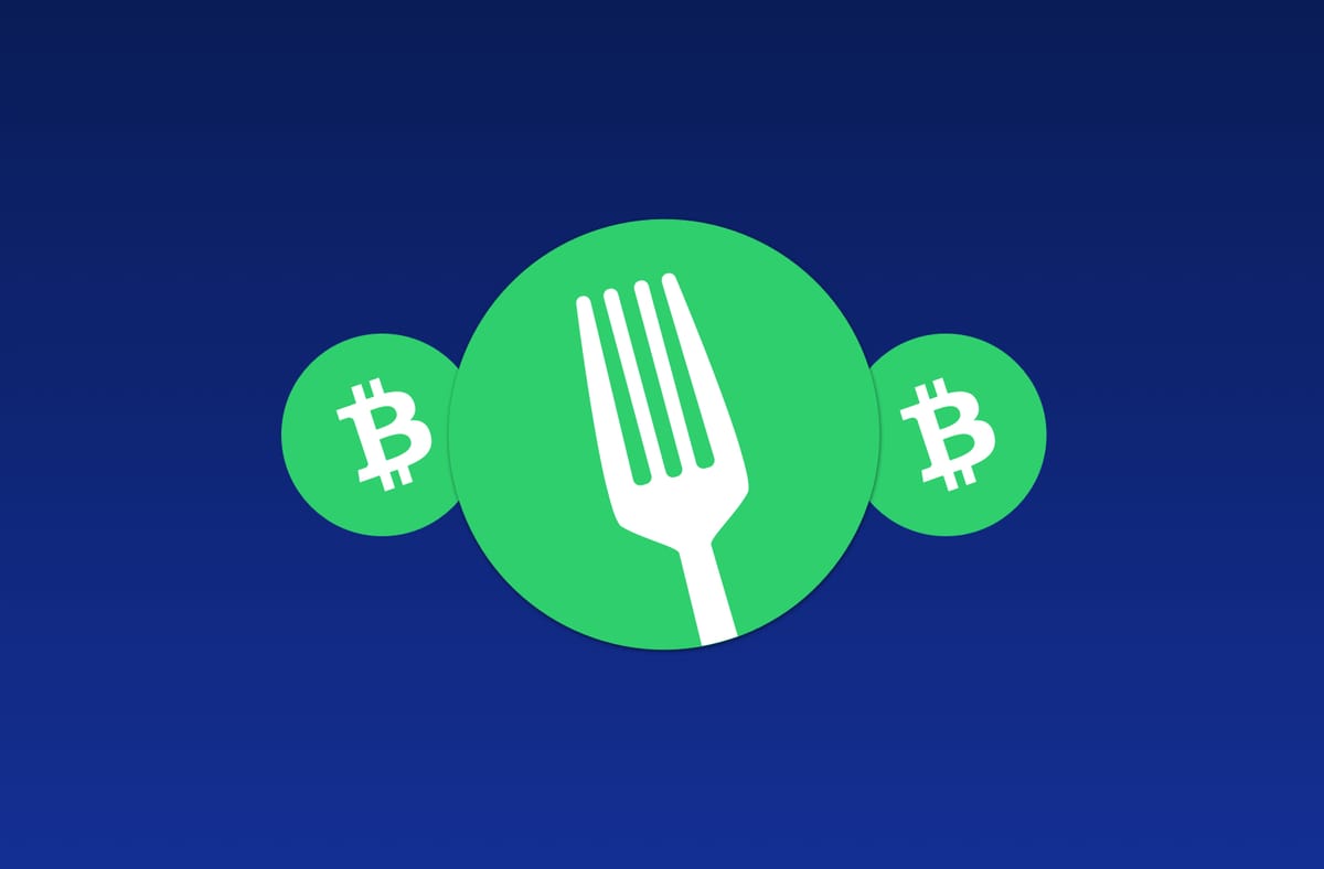 Upcoming Bitcoin Cash Halving Date - BCH Halving Countdown