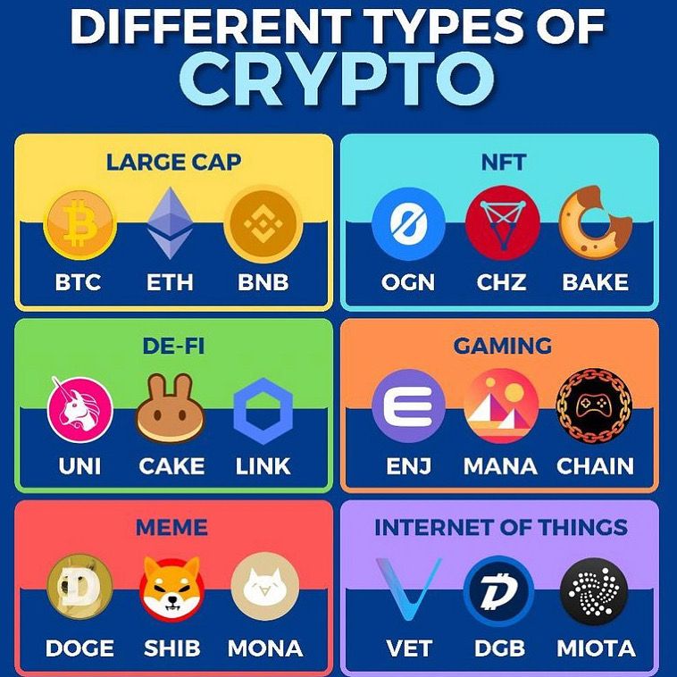 Types of Cryptocurrencies: From Bitcoin to Altcoins and beyond - The Economic Times