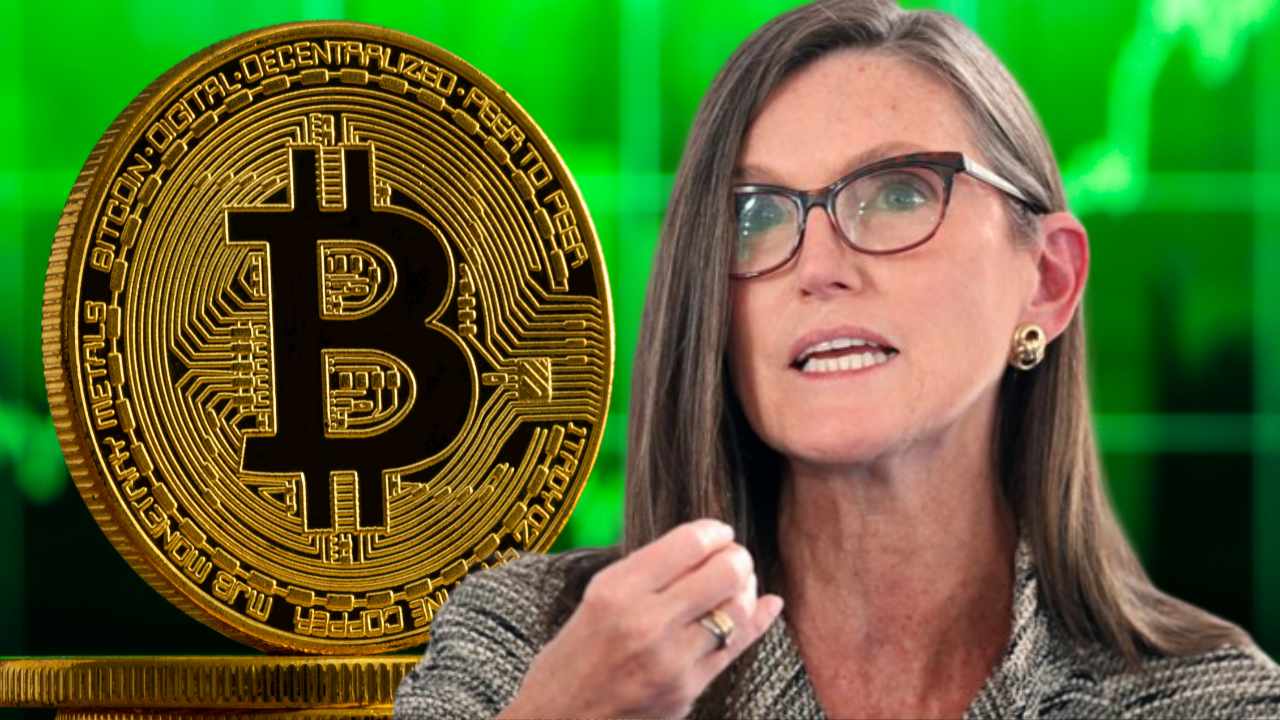 1 Top Cryptocurrency to Buy Before It Soars 4,%, According to Cathie Wood's Ark Invest