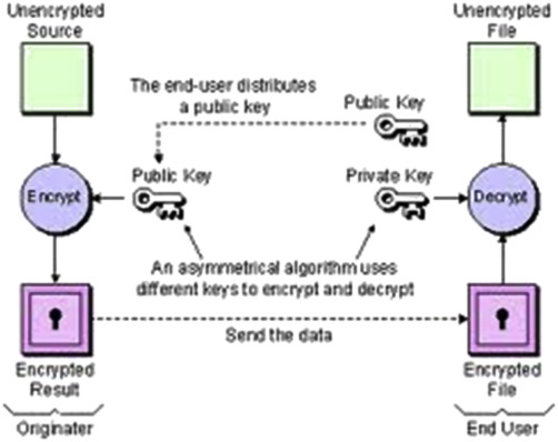 asymmetric cryptography - Glossary | CSRC