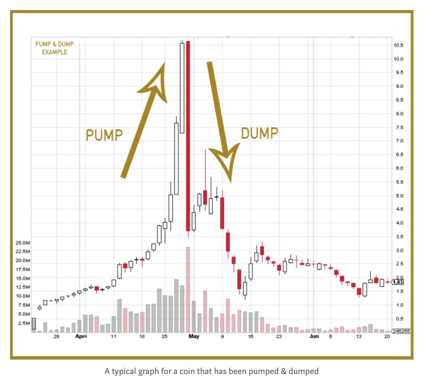 Pump Or Dump? What Is Next Big Crypto For 