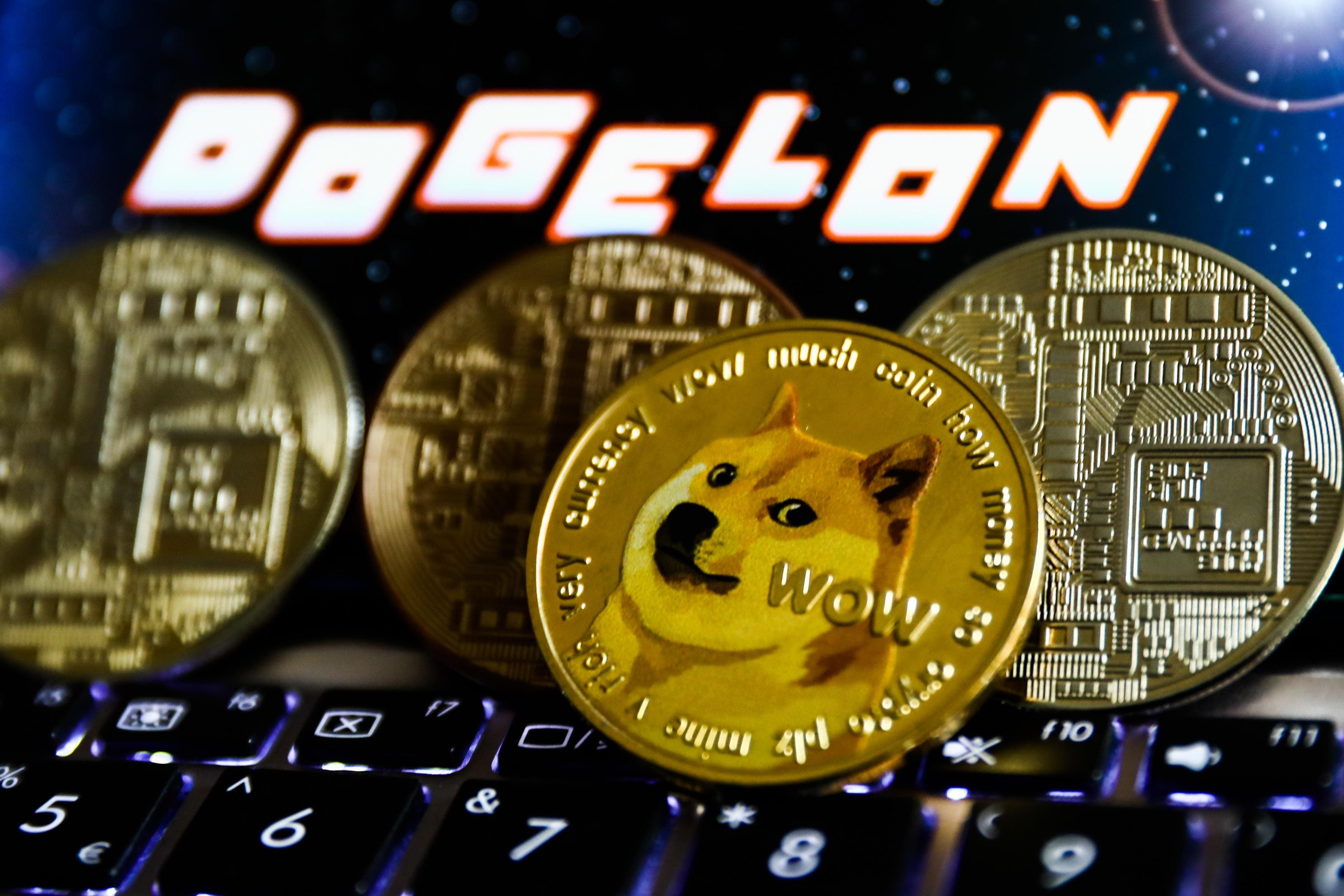 Valuing Dogecoin: What $ Can Buy and Its Purchasing Power