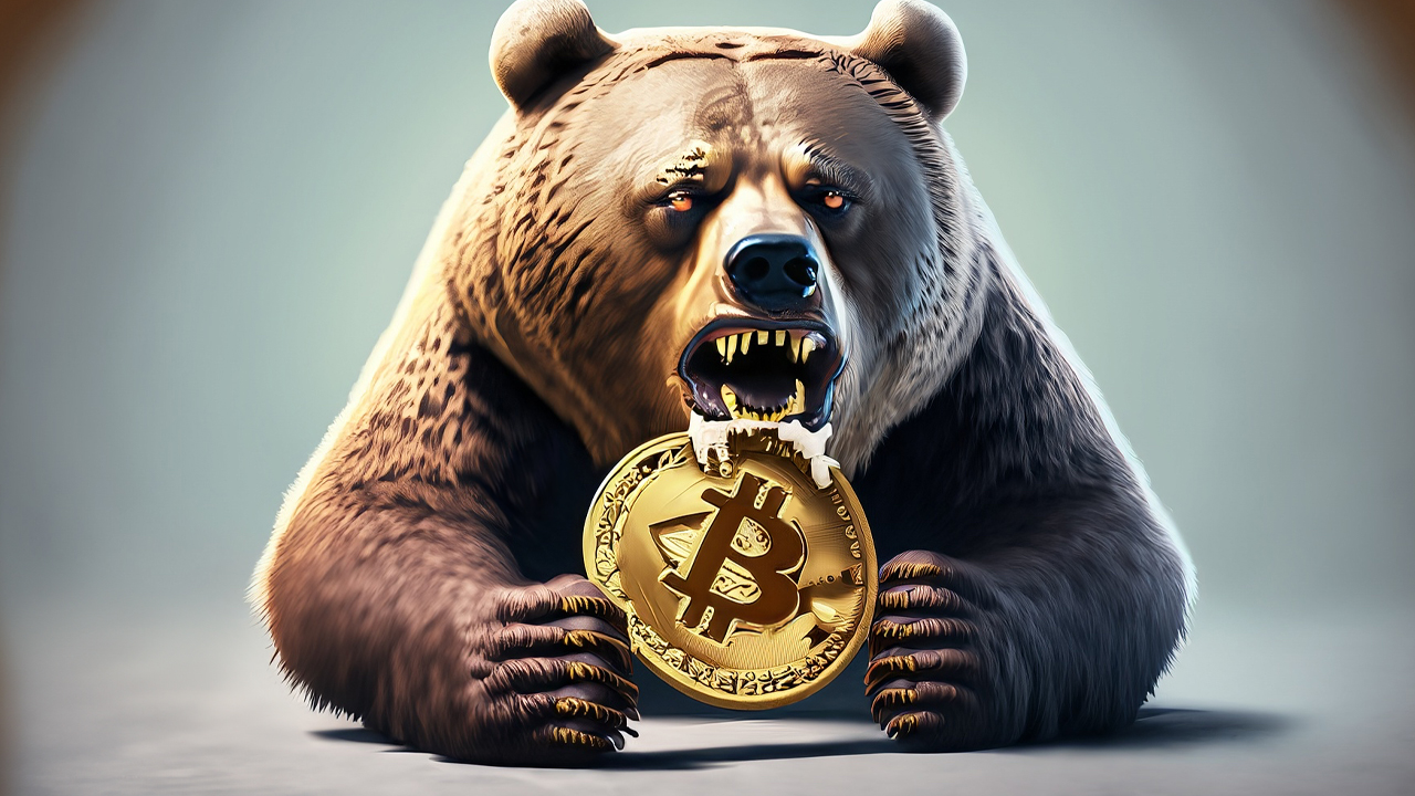 Crypto: Navigating Bear and Bull Markets