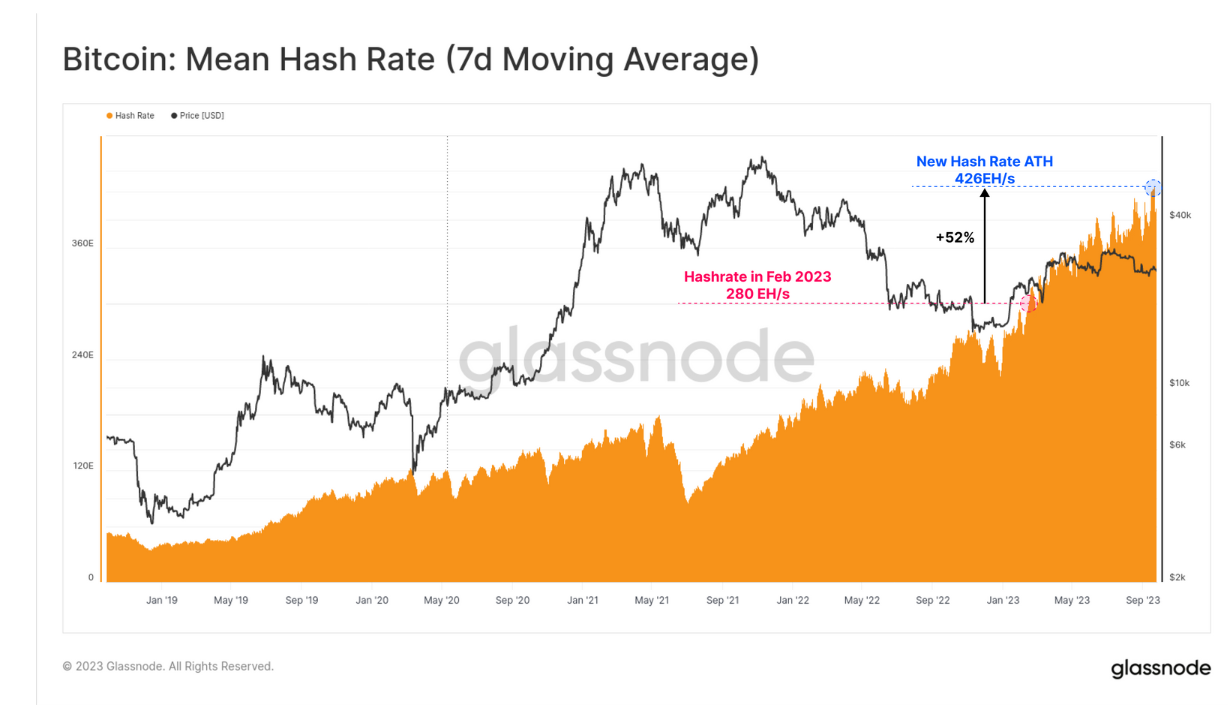 Braiins | Mining Insights