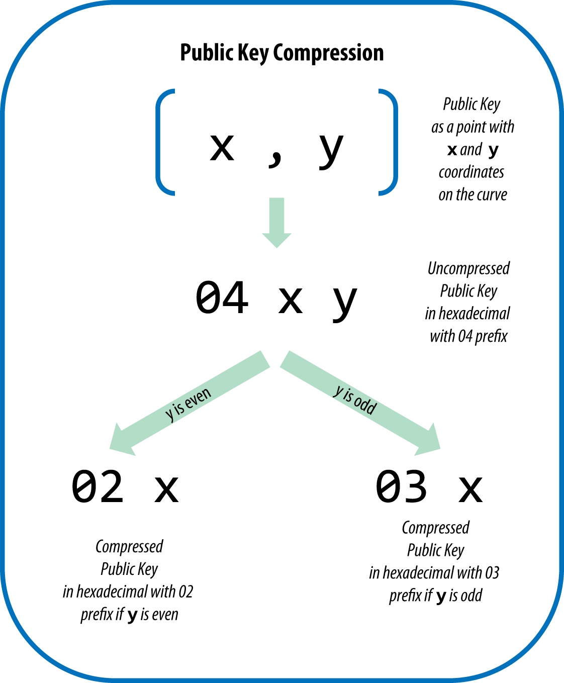 Public Vs Private Keys: Understanding PKC in Crypto | Ledger