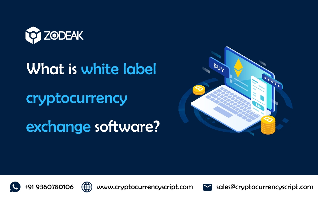 White Label P2P Crypto Exchange Software - PayBitoPro