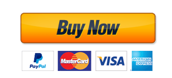 Wix Editor: Adding and Setting Up a PayPal Buy Now Button | Help Center | ostrov-dety.ru