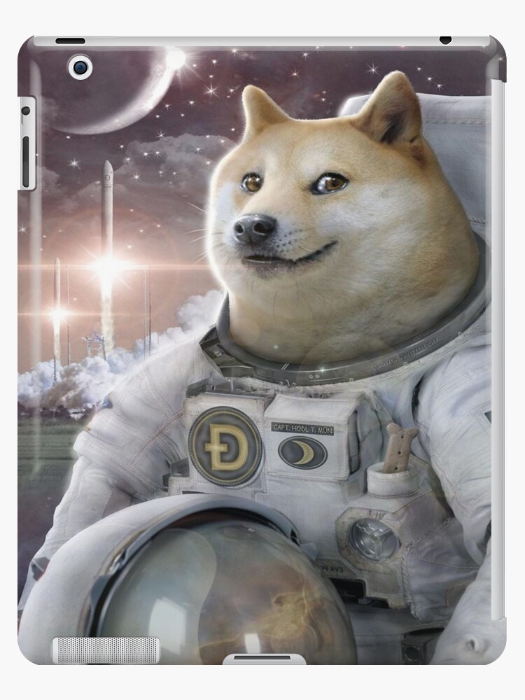 Behind Bitcoin, Ethereum, and Dogecoin's Wild Ride